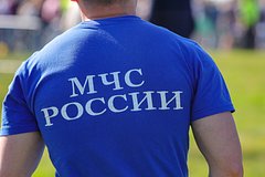 Здание дельфинария и крокодиловой фермы загорелись в российском городе