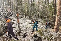 МЧС рассказало о поисках пропавшей в Красноярском крае семьи