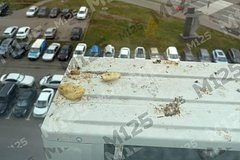 Москвичи пожаловались на выбрасывающих еду из окна соседей