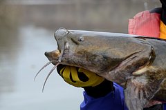 Мужчина поймал огромную рыбу и побил 20-летний рекорд