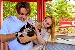 На mos.ru запустили сервис для подбора питомцев из приютов