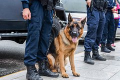 Названы неожиданные способы поставки наркокартелями кокаина в Европу
