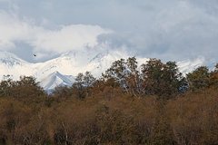 В российском регионе нашли брошенный после крушения вертолет