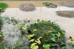 В российском регионе затопило огороды после удара ВСУ по плотине