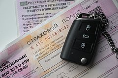 В Совфеде ответили на данные о запуске механизма выявления ОСАГО с ноября