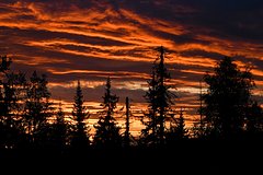 Близкие Усольцевых объяснили обнаружение тайника бесследно пропавшей в тайге семьи