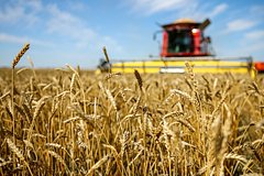 Экспорт российского зерна