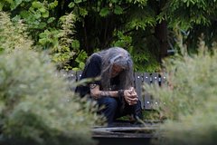 Кучера раскритиковал шоу про алкоголиков-звезд