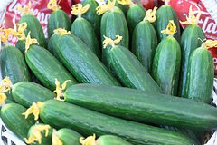 Мстившая мужу за измену россиянка поплатилась за огурец во влагалище