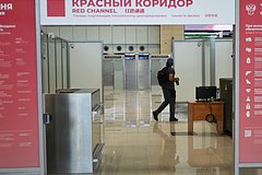 Мужчина решил привезти жене морской огурец и был задержан в аэропорту Москвы