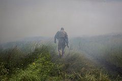 На Украине рассказали о новом антирекорде ВСУ