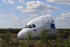 Опубликован отчет о жесткой посадке самолета в кукурузном поле в Подмосковье