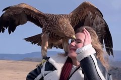 Орел чуть не лишил россиянку глаза во время фотосессии