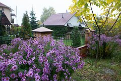 Россиянам рассказали о запрещенных объектах на собственных дачах