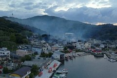 В Японии из-за непогоды сгорело больше полутора сотни домов