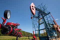 В России ответили на сообщение об отказе Китая от российской нефти