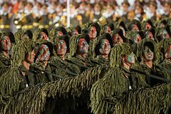 В России ответили на сообщения о планах КНДР отправить в зону СВО тысячи военных