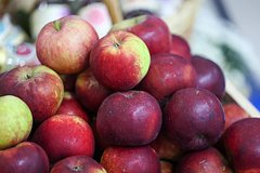 В России появятся афганские гранаты и яблоки