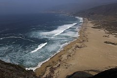 Волна утащила в океан троих гуляющих по побережью в США человек