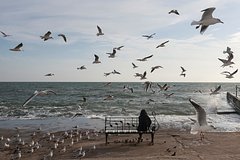 На Западе предрекли скорый переход Одессы под контроль российских войск