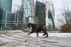 Названа дата потепления в Москве