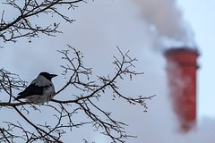 Подсчитано количество пострадавших домов в Ангарске из-за аварии на ТЭЦ