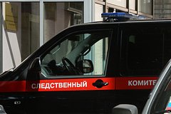 Раскрыта судьба годовалого брата расправившейся с матерью российской школьницы