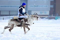 Россиянка описала жизнь оленеводов при минус 30 градусах фразой «люди не мерзнут»