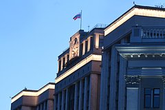 Российского депутата освободят от должности после родов жены на другом континенте