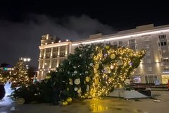 В центре Москвы упала огромная елка