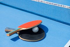 В Германии сравнили с пинг-понгом переговоры по Украине