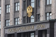 В Госдуме отреагировали на решение по делу Долиной