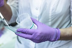 У заболевших в российской гостинице юных регбистов обнаружили норовирус