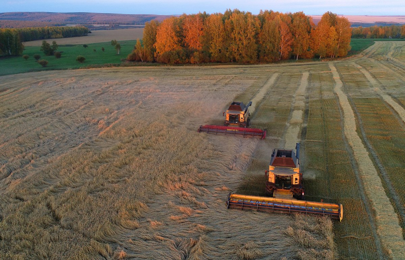 Экспорт российского зерна