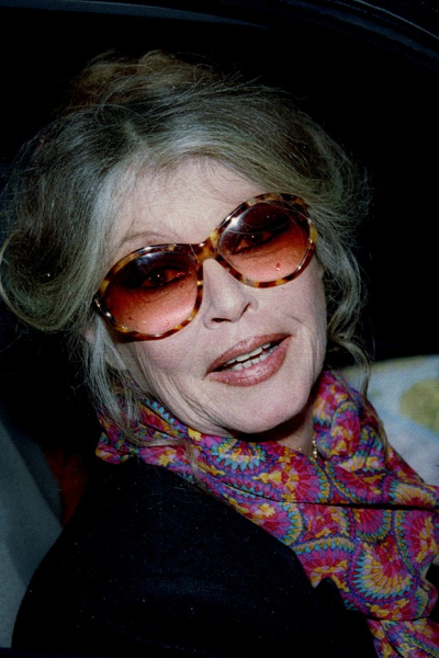 &laquo;Я всегда искала страсть&raquo;. Умерла Брижит Бардо. Она была легендой кино и одним из главных секс-символов ХХ века