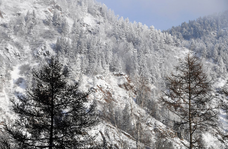 Новые нестыковки в деле семьи Усольцевых