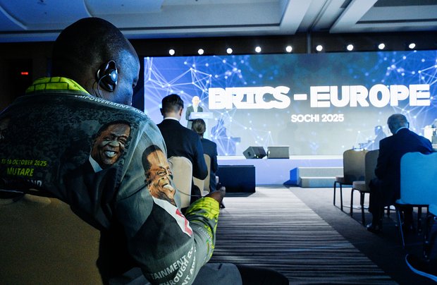 Визит депутатов Европарламента в Сочи